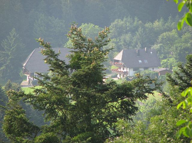Blick zum Nachbar.JPG